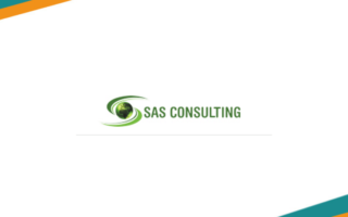 SAS Consulting