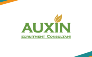 Auxin Recruitment Consultants