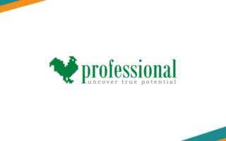 Professional Services Agency